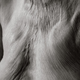 Image for article titled What the human body looks like at 100 years old